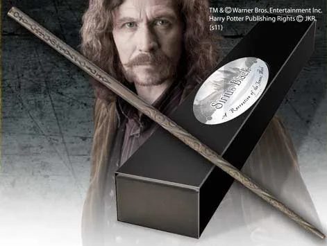 Baguette de Sirius Black – Image 2
