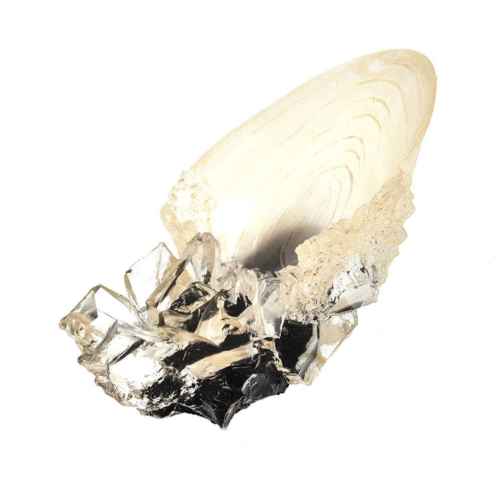 La Coupe de Cristal - Harry Potter – Image 2
