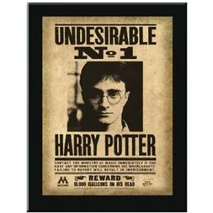 Cadre Undesirable N°1 Harry Potter