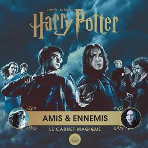Amis et ennemis - Le carnet Magigue