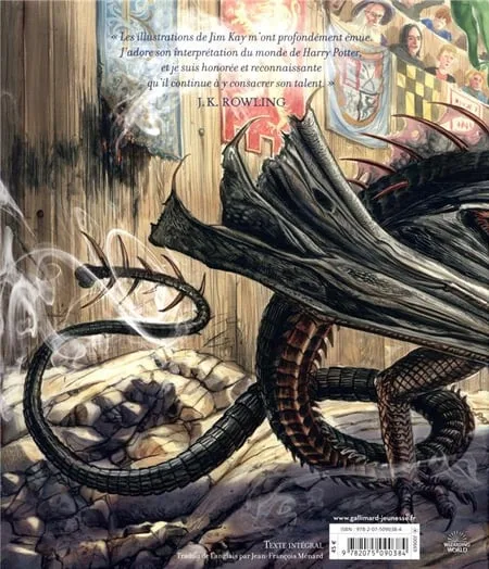 Harry Potter et la Coupe de Feu - version illustrée – Image 2
