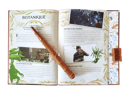 Sortilèges - Le guide de la magie à Poudlard – Image 3