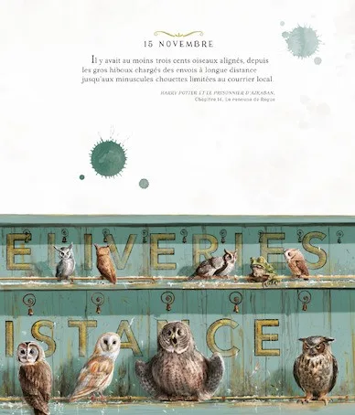 Une année de magie – Image 2