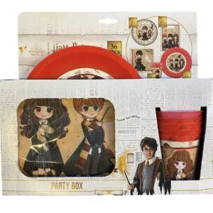Kit Anniversaire Harry Potter