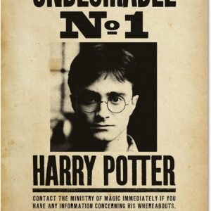 Poster Indésirable n°1 60x91.5 cm