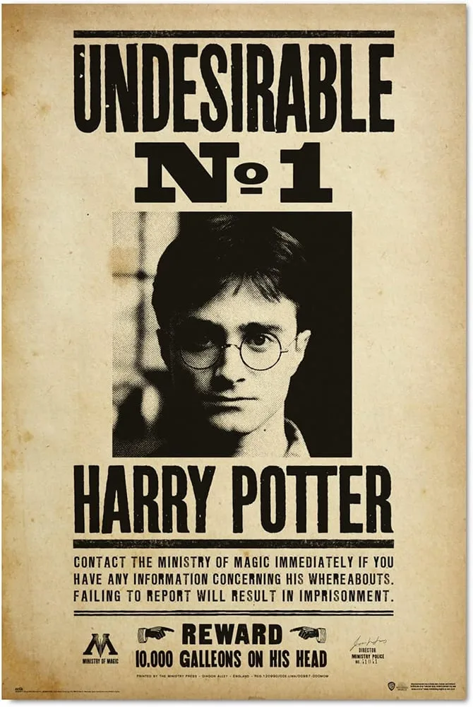 Poster Indésirable n°1 60x91.5 cm